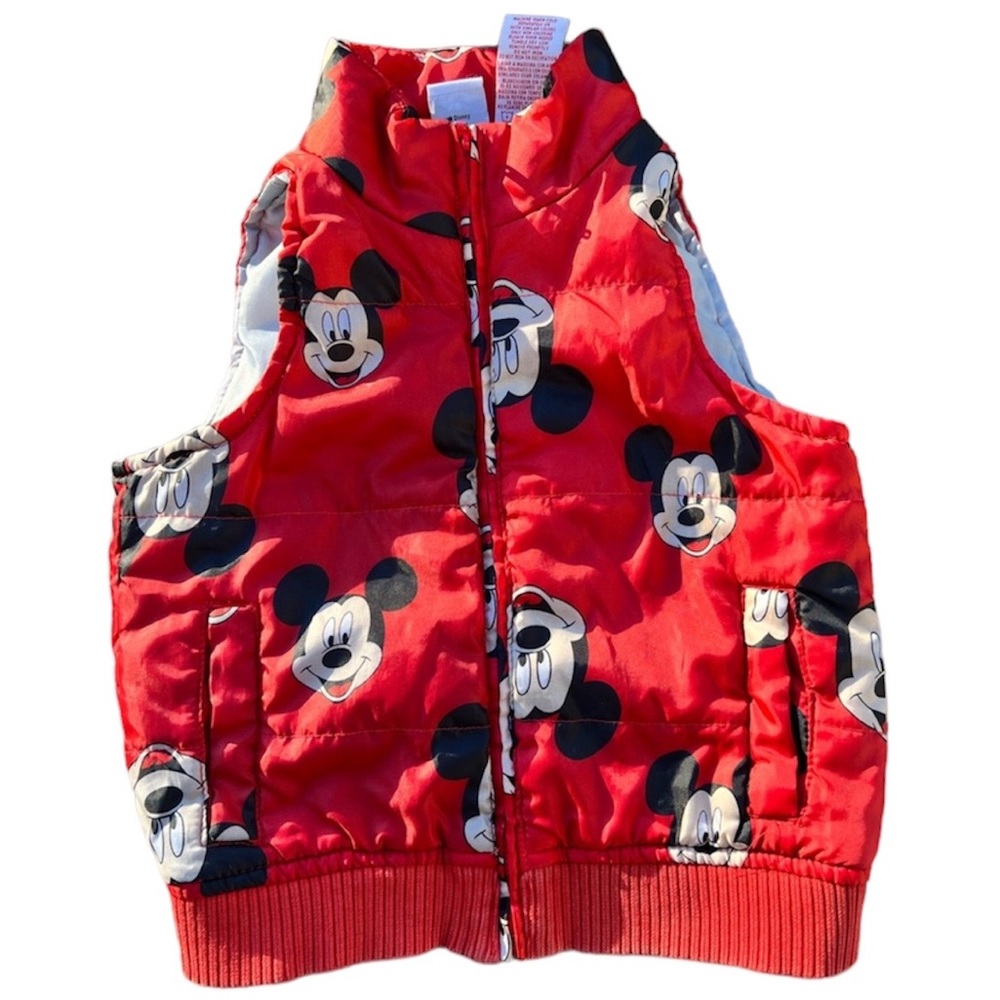 Vest